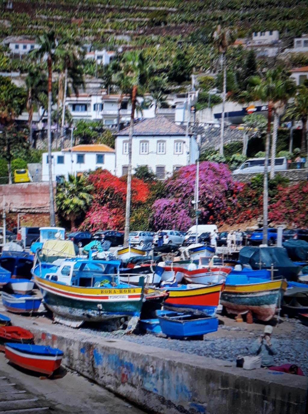 Exploring Camara de Lobos: Seafood, Friends, and&nbsp;Festivals