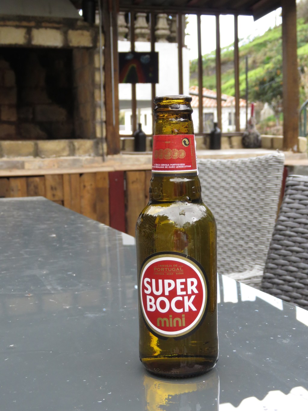 Morning Madness: Smokey’s Destruction and Garden&nbsp;Troubles